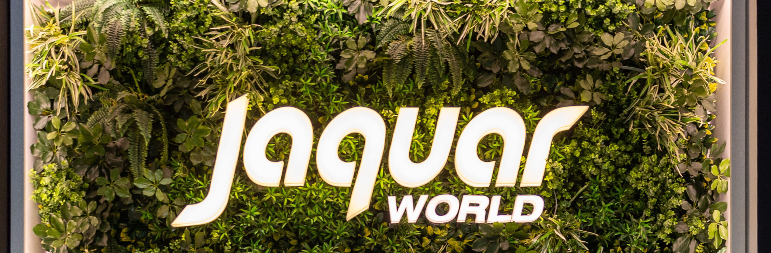 JAQUAR VIDEO SHOWROOM